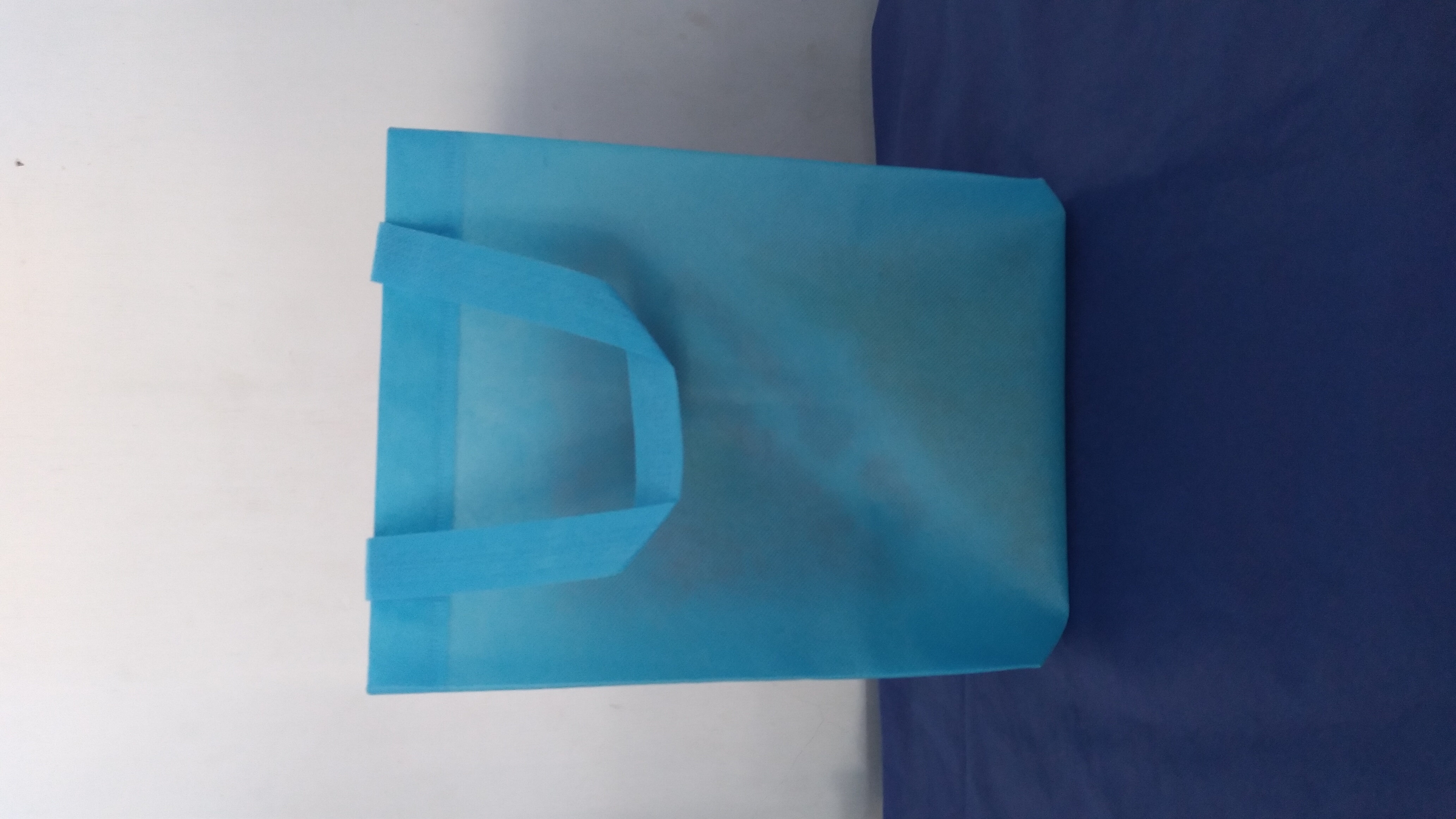 Tas Hajat pres polos warna biru muda box 22
